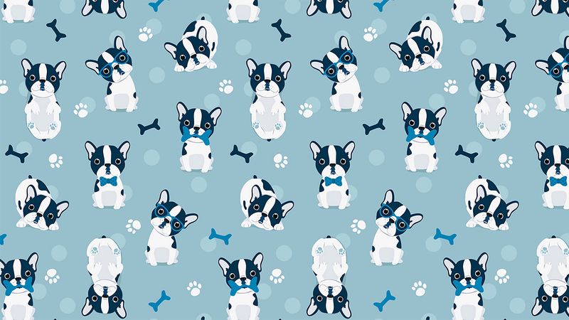bulldog, dog, pattern, art, 4k