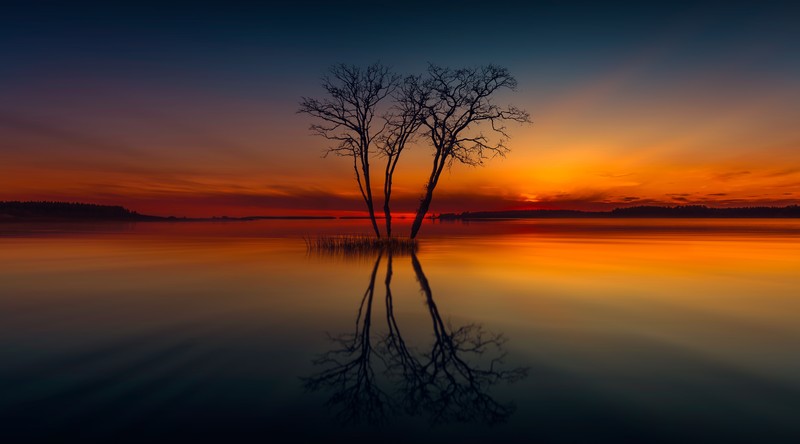 lake, reflection, sunset, tree, nature, hd, 4k, horizon