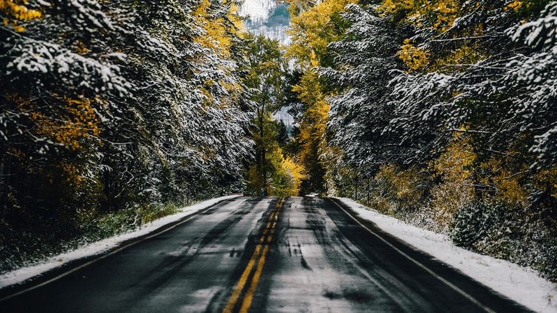road, trees, snow, mountain, peak, 4k