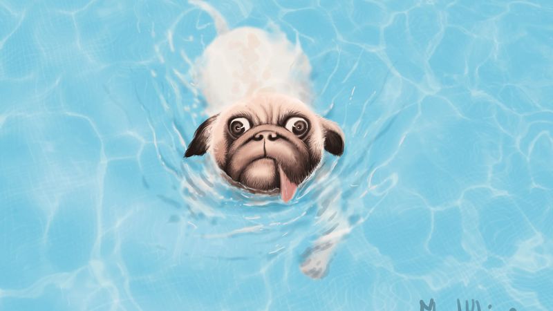 bulldog, dog, tongue protruding, water, art, 4k