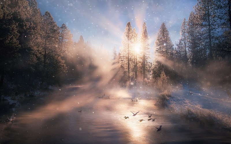 sunbeam, nature, hd