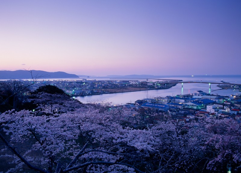 japan, photography, nature, 4k, world