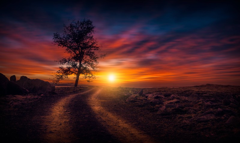 sunset, nature, photography, nature, hd, 4k, 8k