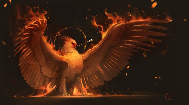 phoenix, artist, digital art, deviantart
