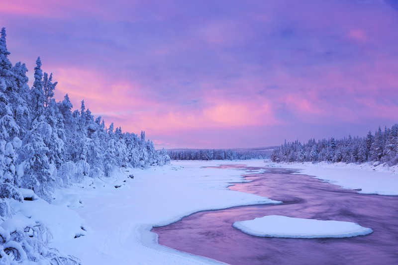 winter, nature, 5k, snow, hd, pink