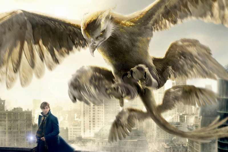 fantastic beasts and where to find them, 2016 movies, movies
