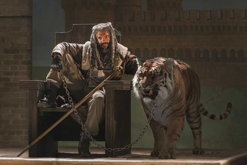 the walking dead, tv shows, hd, tiger