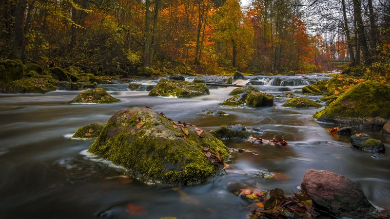 autumn, nature, 4k