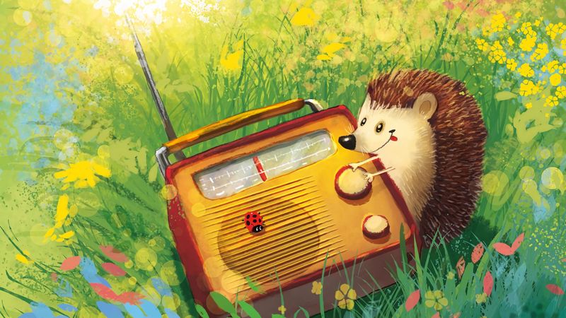 hedgehog, radio, grass, art, cute, 4k
