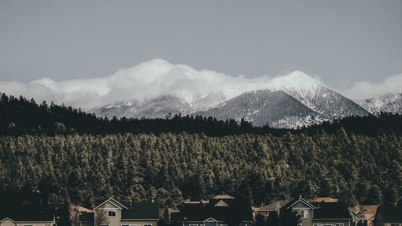 houses, forest, mountains, clouds, nature, 4k