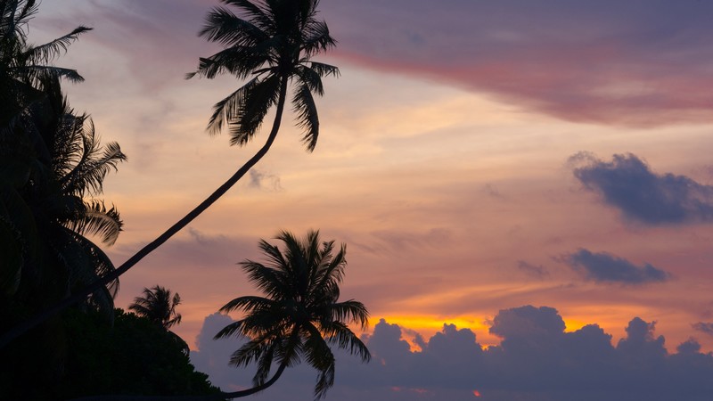 maldives, island, nature