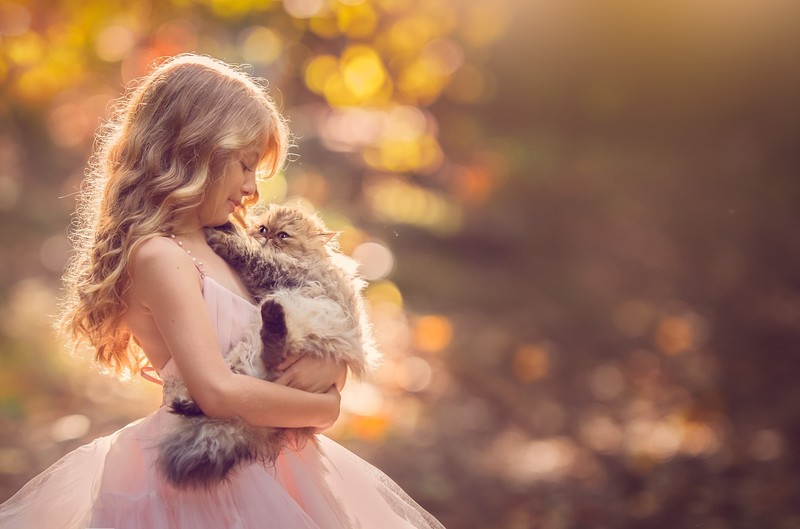 cute, cat, animals, girl