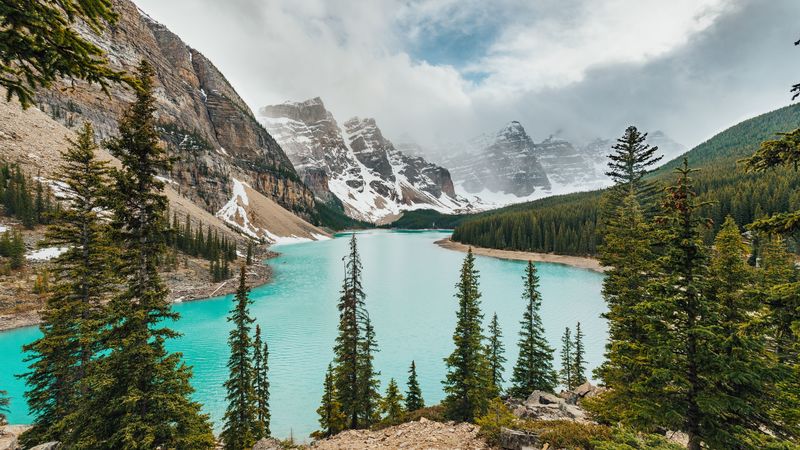 lake, mountains, shore, forest, landscape, valley, 4k
