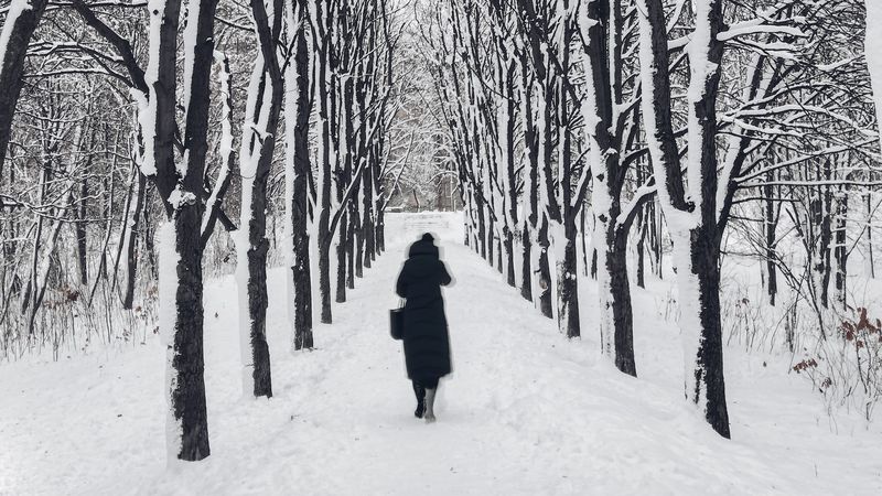 man, loneliness, winter, path, trees, sad, 4k