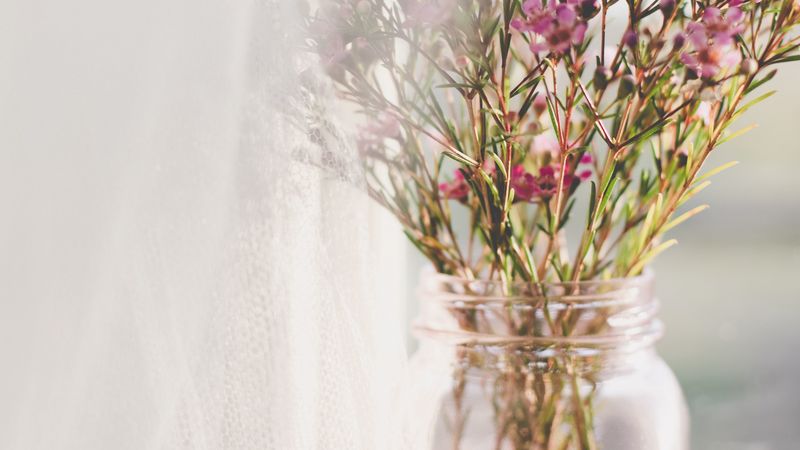 flowers, bouquet, pink, vase, window, 4k