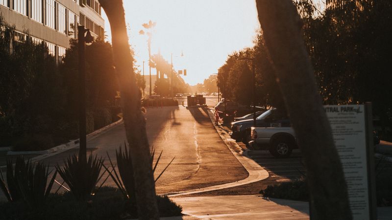 street, trees, buildings, cars, sunlight, 4k