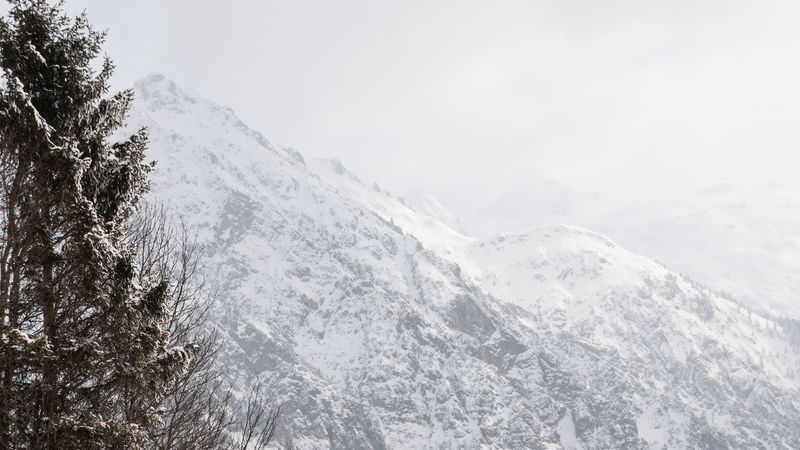mountain, trees, snow, slope, winter, 4k
