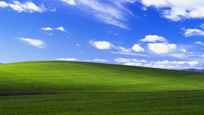 windows, computer, simple background