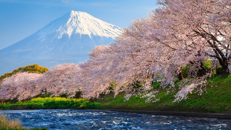 japan, river, world