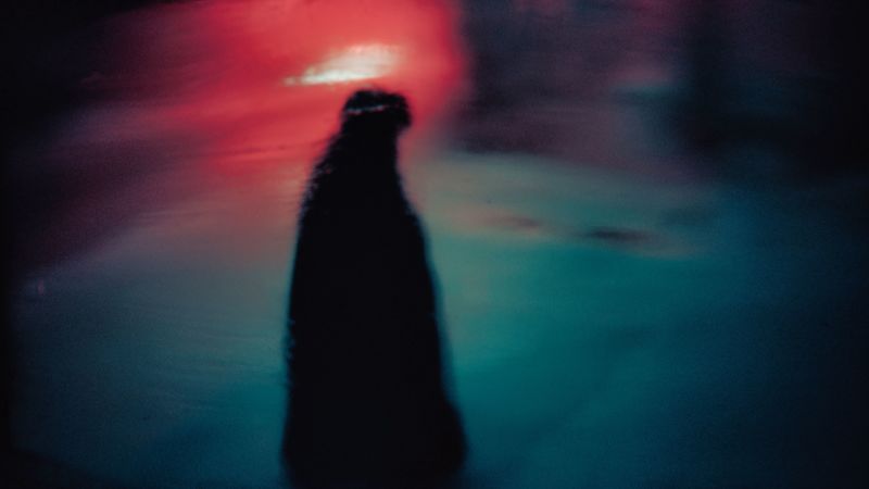 silhouette, dark, reflection, abstraction, spots, 4k