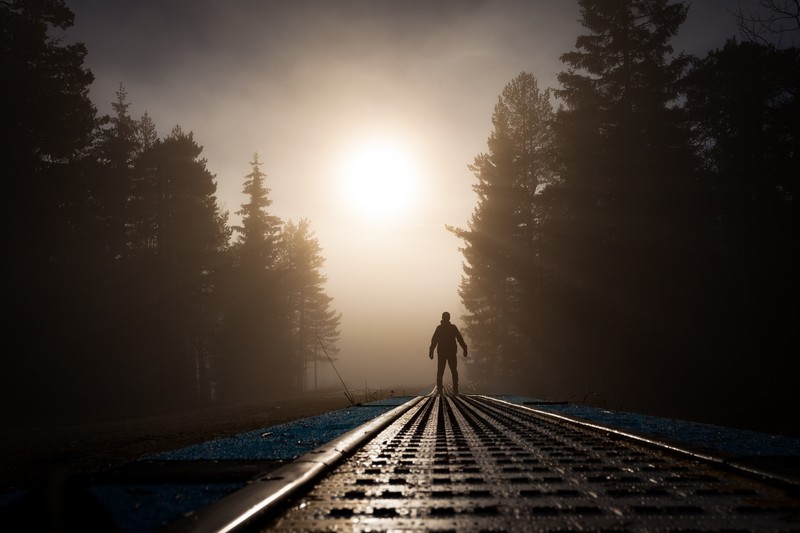 alone, sunlight, photography