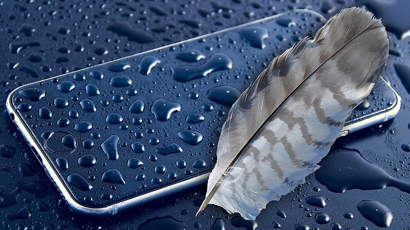 apple, feather, photography, hd