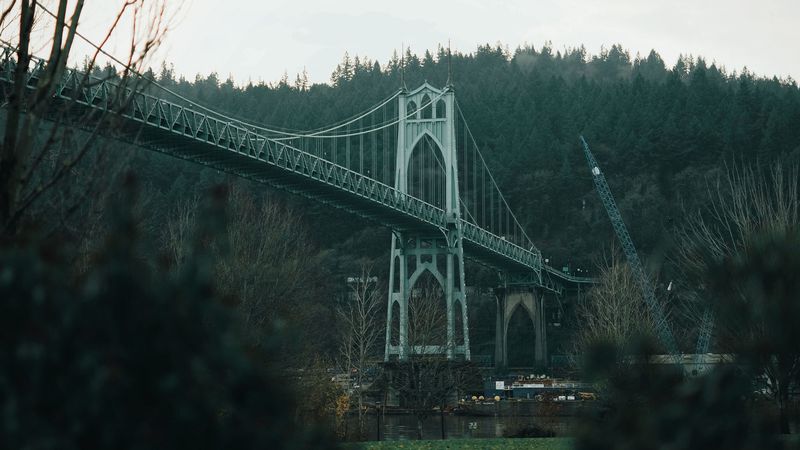 bridge, river, forest, trees, nature, 4k