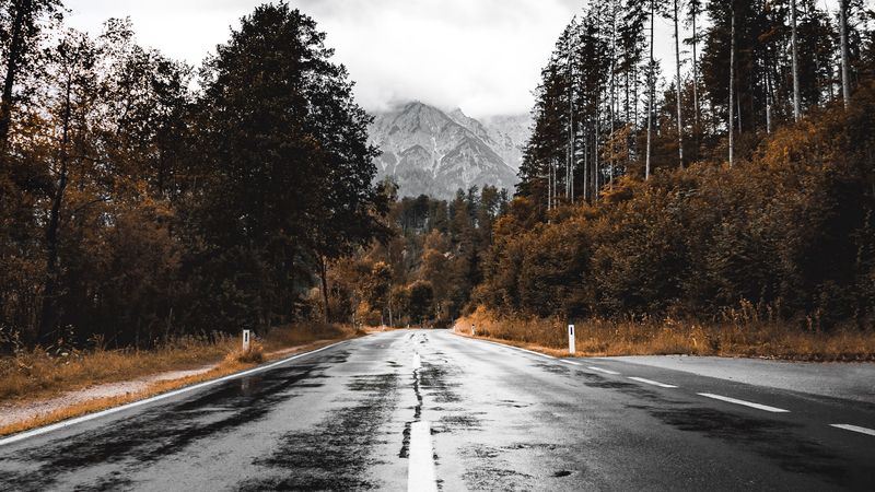 road, asphalt, wet, forest, mountains, 4k