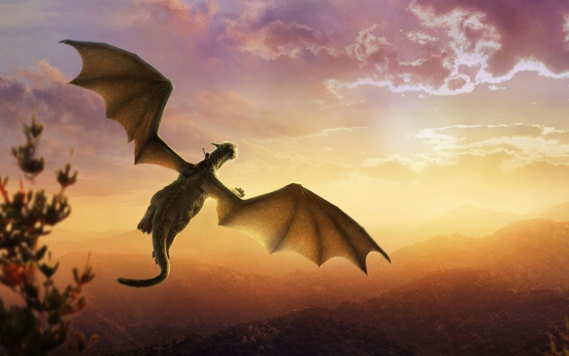 petes dragon, 2016 movies, movies, dragon