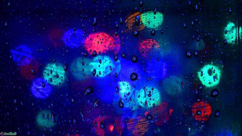 rain, nature