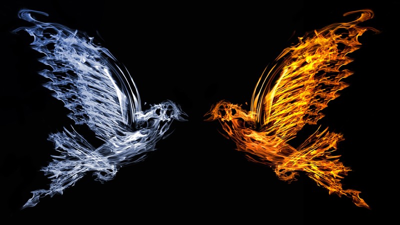 bird, fire, artist