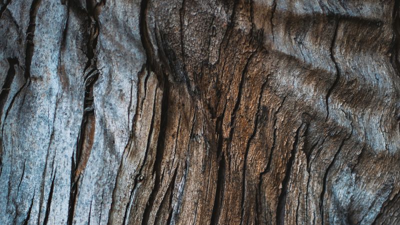 wood, texture, cranny, surface, 4k