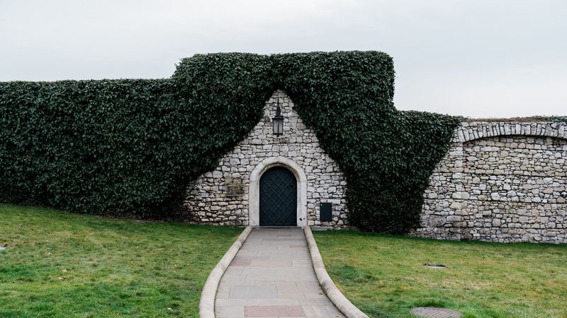 fence, stone, door, path, ivy, 4k