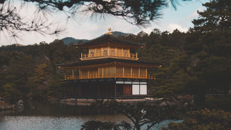 pagoda, building, temple, river, nature, 4k