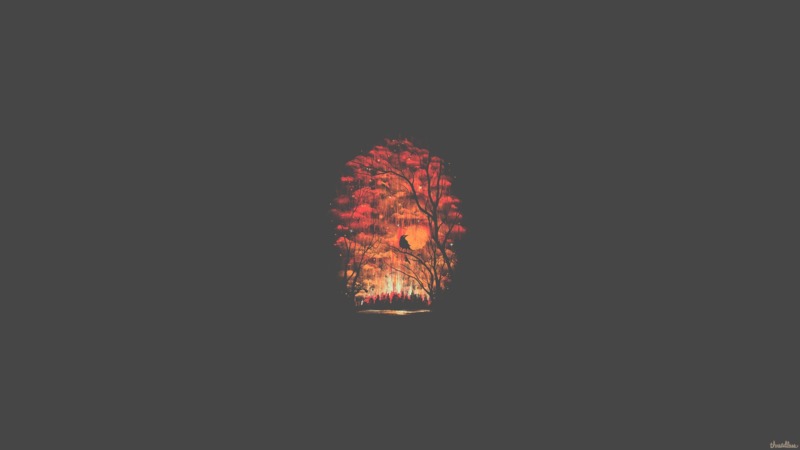 minimalism, forest