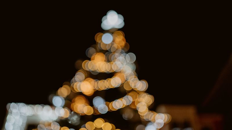 tree, lights, bokeh, glare, blur, 4k