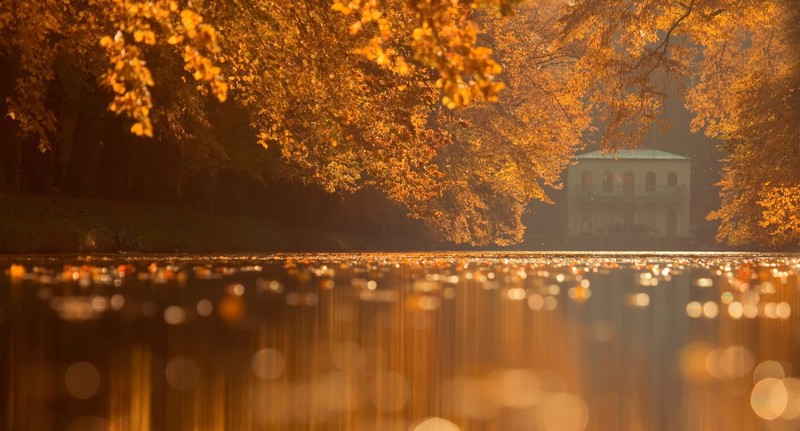 autumn, nature