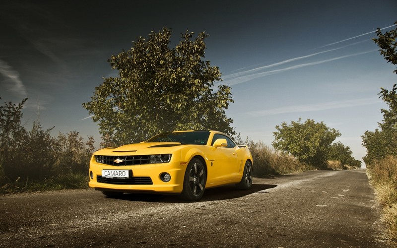 camaro, cars