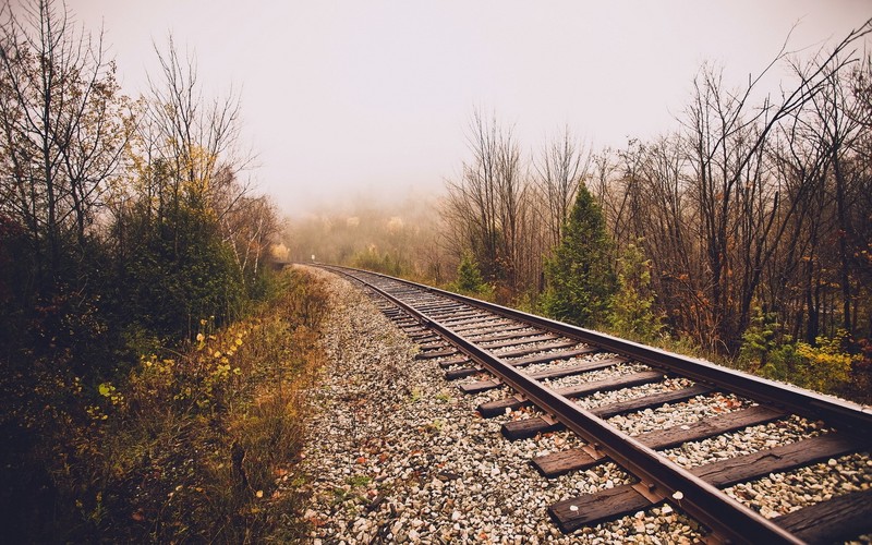 train, track, nature, railroad