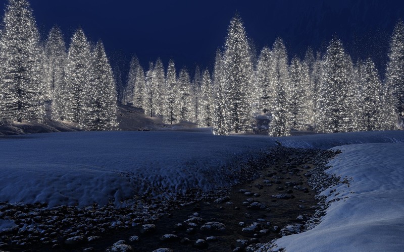 snow, trees, nature