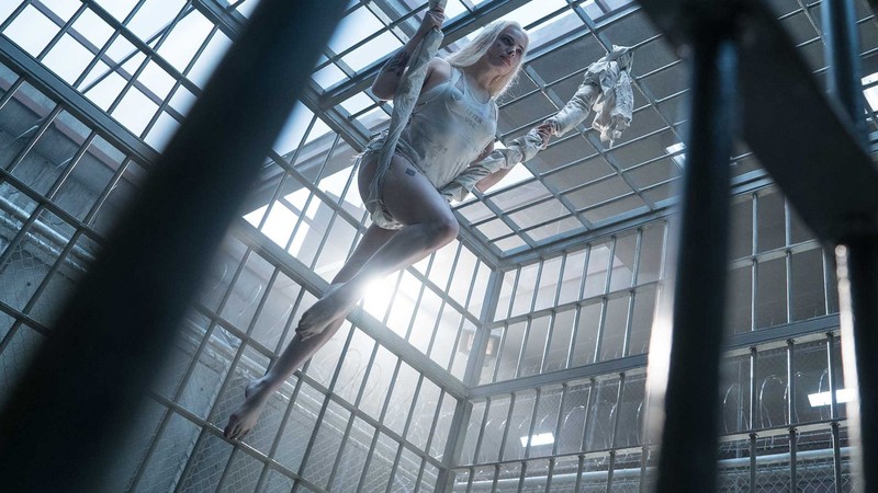 suicide squad, movies, 2016 movies, harley quinn