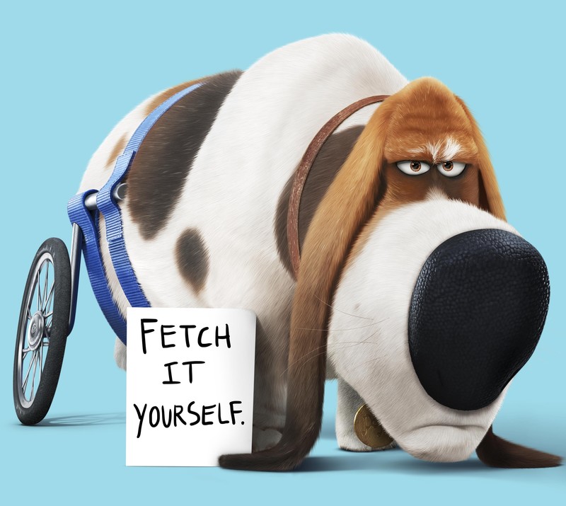 the secret life of pets, movies, animated movies, cartoons, 2016 movies