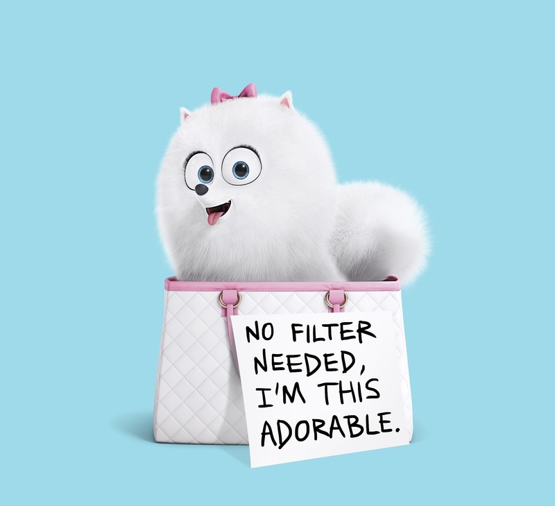 the secret life of pets, movies, animated movies, cartoons, 2016 movies