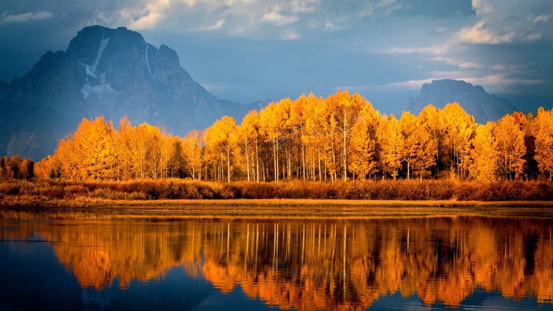autumn, lake, trees, nature