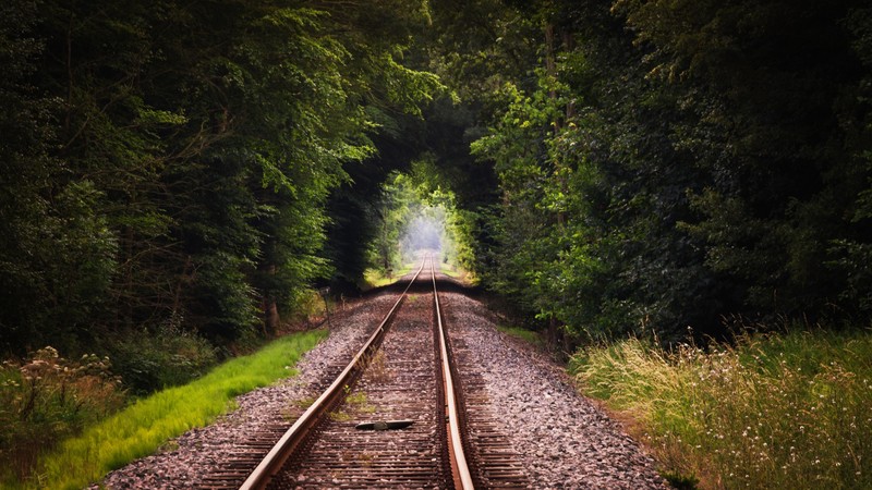 railroad, train, track, nature, 4k