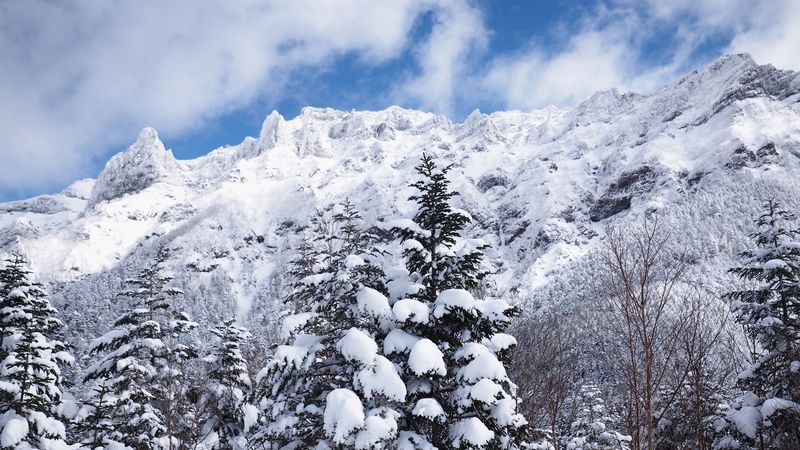 mountains, snow, trees, landscape, winter, 4k