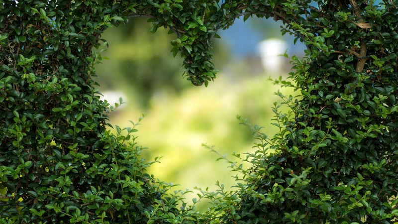 nature, heart