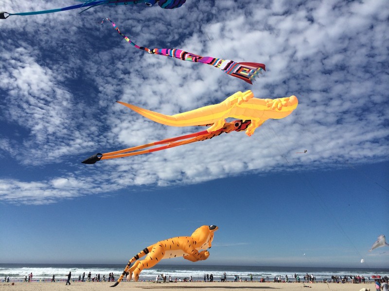 kites, nature, sky