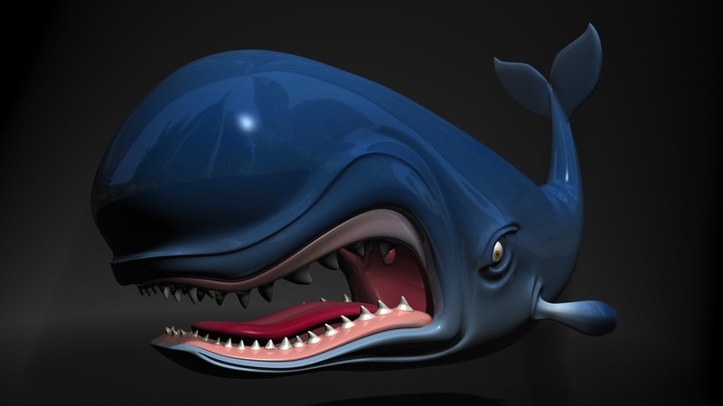 whale, 3d