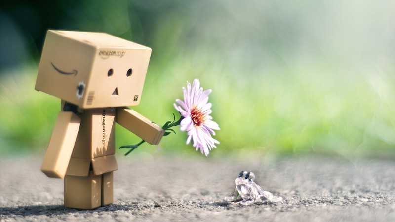 danbo, flower, cute